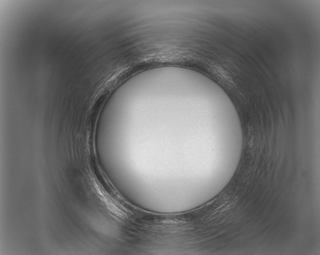 X0000060230542200510280940