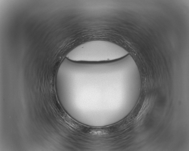 X0000060230557200510280940