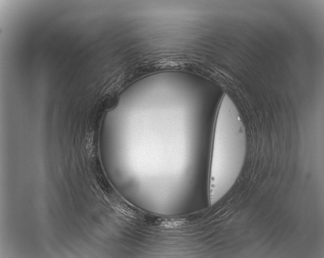 X0000060230560200510280941
