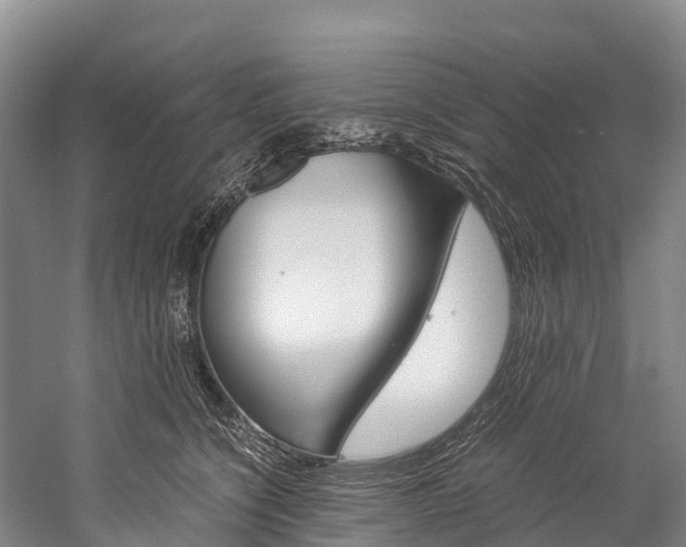 X0000060230564200510280941