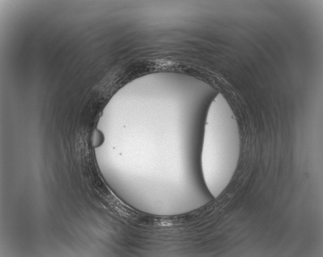 X0000060230565200510280941