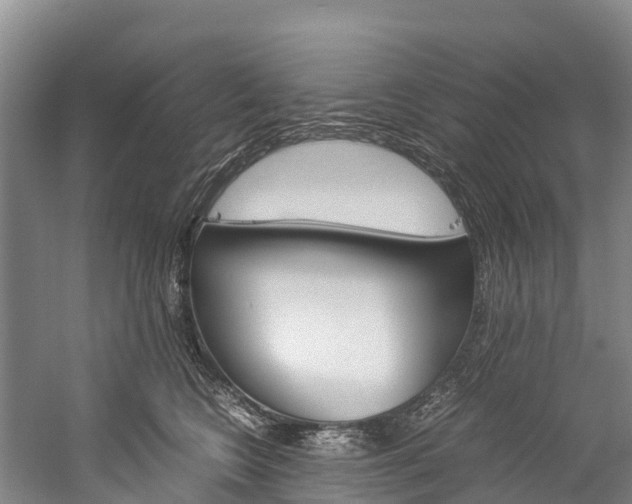 X0000060230566200510280941