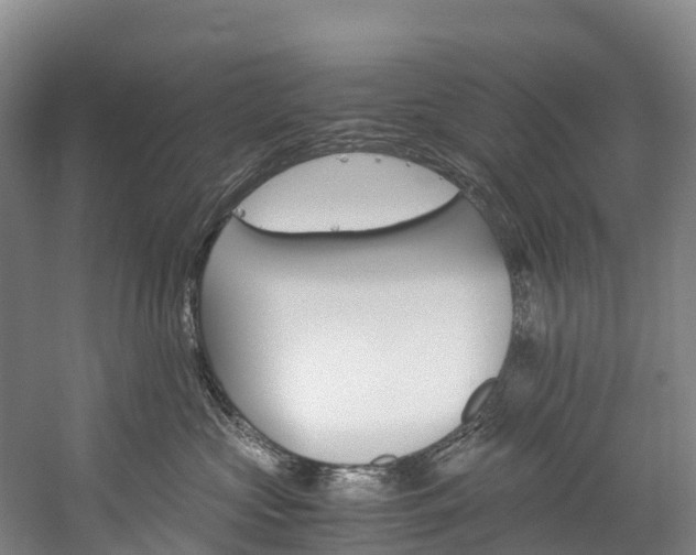 X0000060230573200510280941