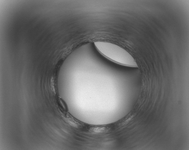 X0000060230575200510280941