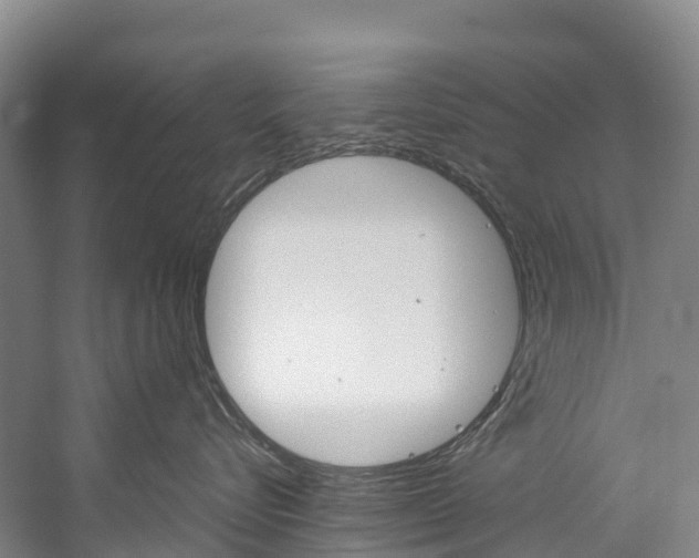 X0000060230576200510280941