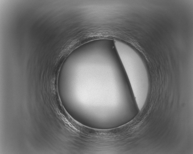 X0000060230585200510280940