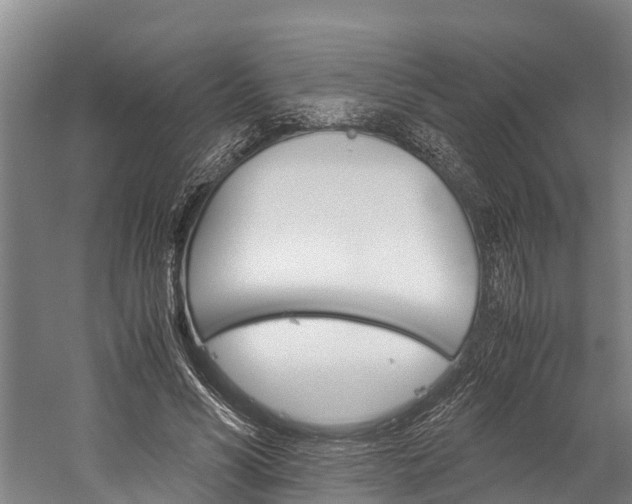 X0000060230590200510280940
