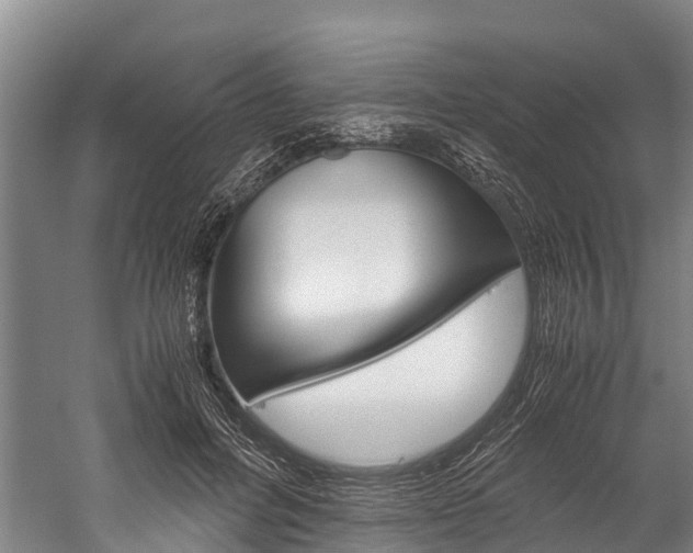 X0000060230600200510280940