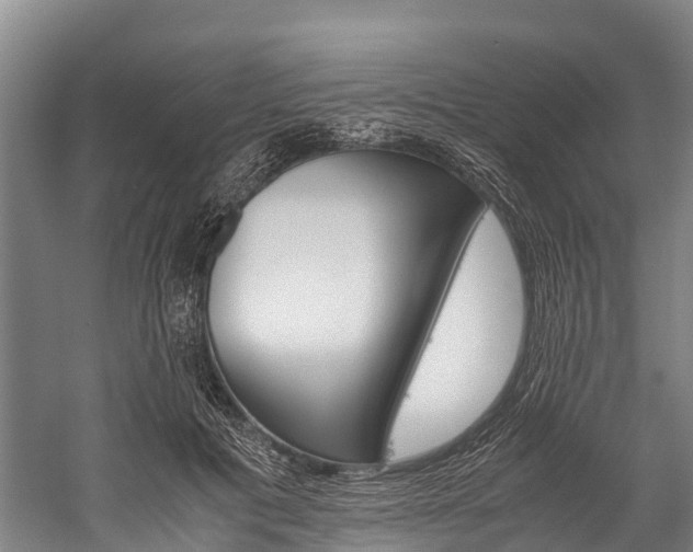 X0000060230601200510280940