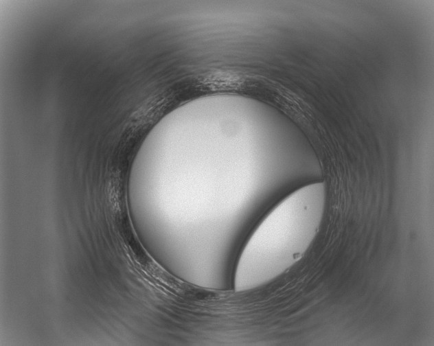 X0000060230604200510280940