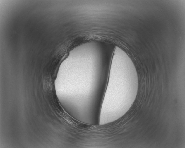 X0000060230617200510280939