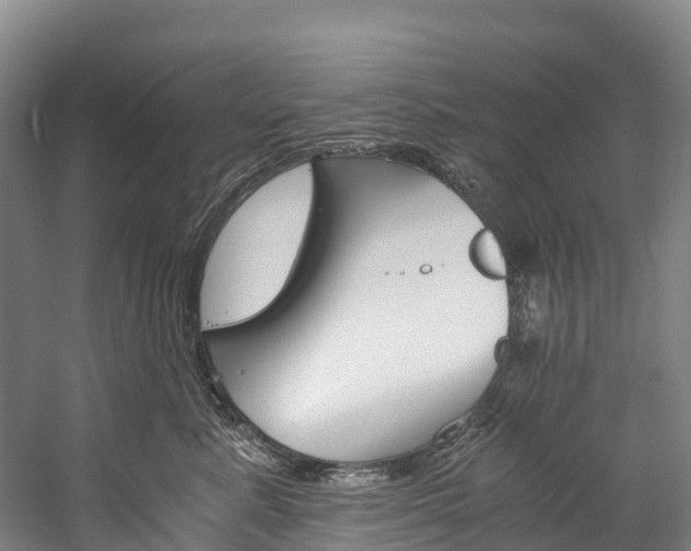 X0000060230619200510280939