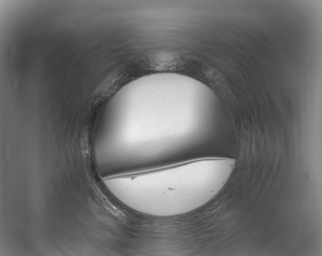 X0000060230620200510280939