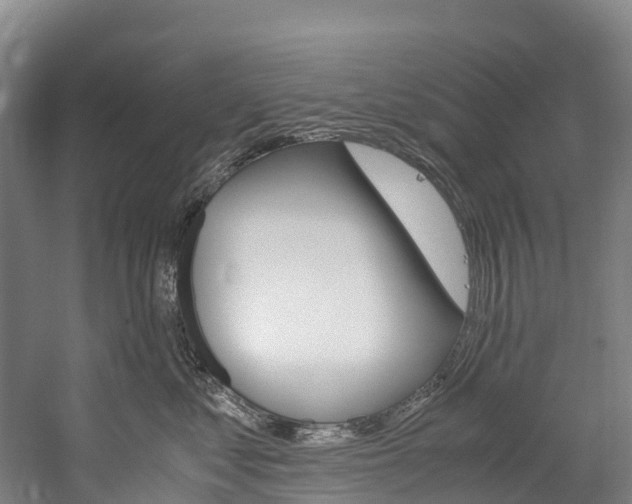 X0000060230621200510280939
