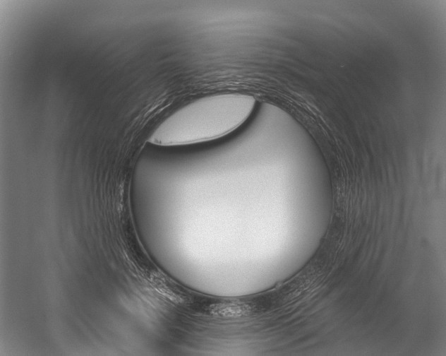 X0000060230652200510280939
