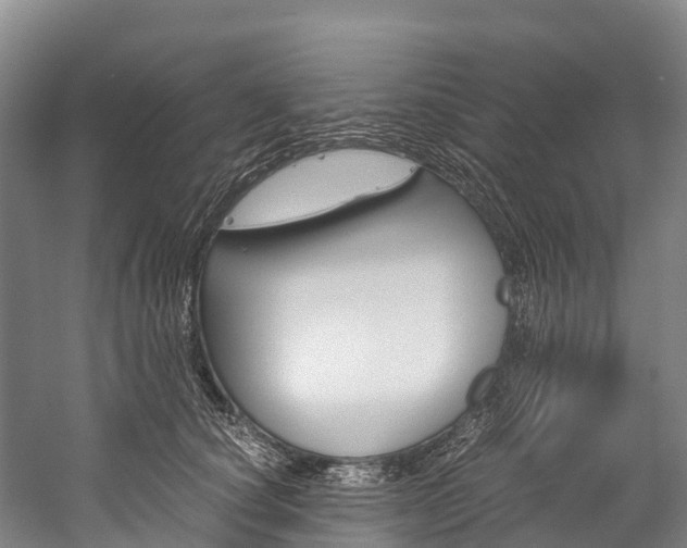 X0000060230660200510280939