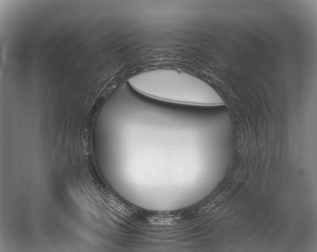 X0000060230661200510280939