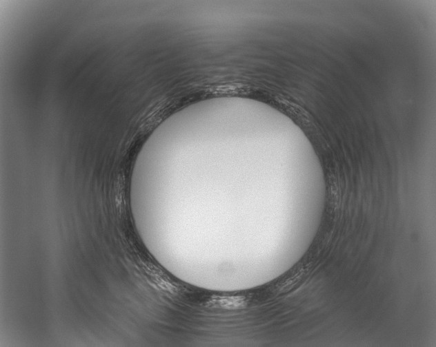 X0000060230665200510280939