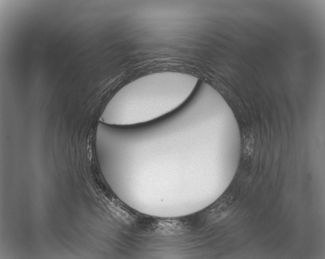 X0000060230666200510280939