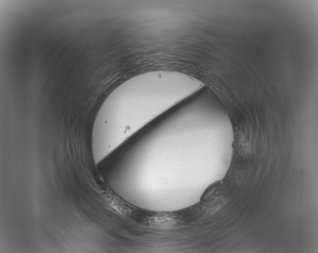X0000060230668200510280939