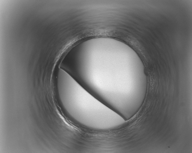 X0000060230674200510280938