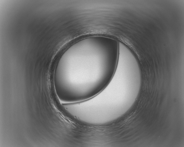 X0000060230676200510280938