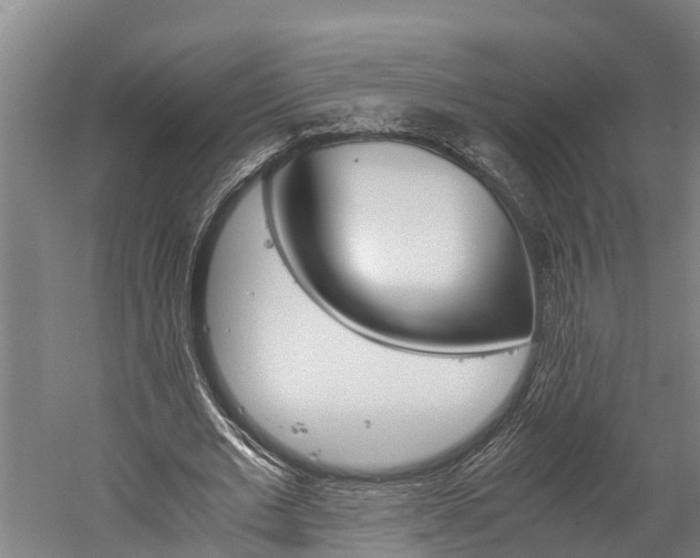 X0000060230677200510280938