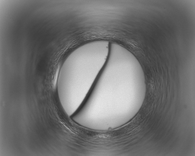 X0000060230691200510280938
