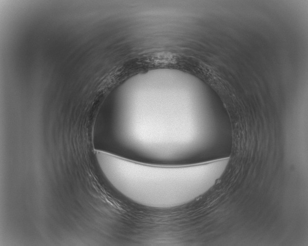X0000060230704200510280938