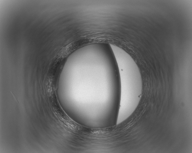 X0000060230708200510280938