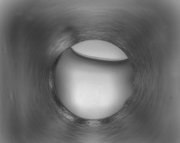 X0000060230719200510280938