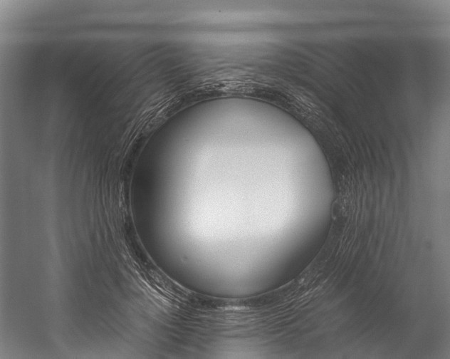 X0000060230748200510280937