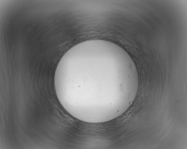 X0000060230768200510280938