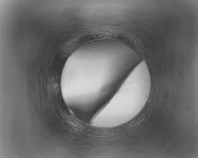 X0000060230771200510280937