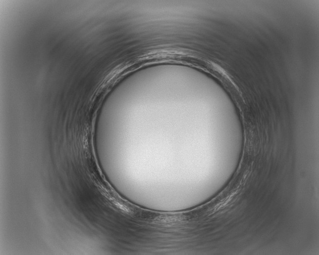 X0000060230778200510280937