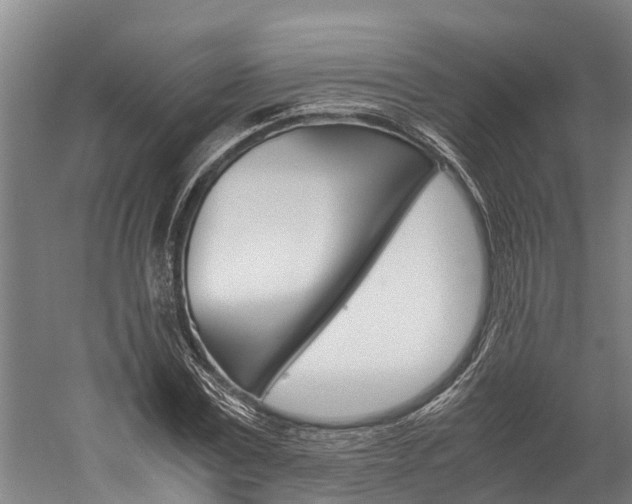 X0000060230779200510280937