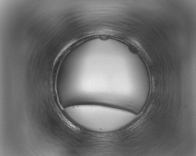 X0000060230780200510280937