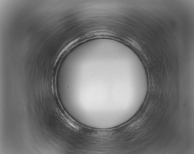 X0000060230782200510280937