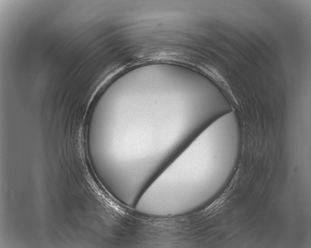 X0000060230798200510280936