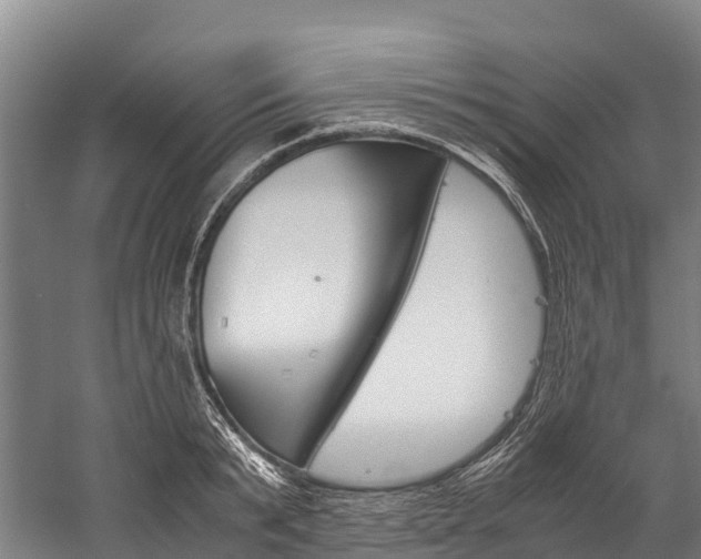 X0000060230799200510280936