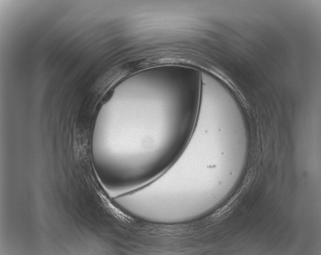 X0000060230801200510280936