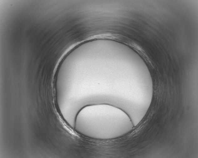 X0000060230808200510280936