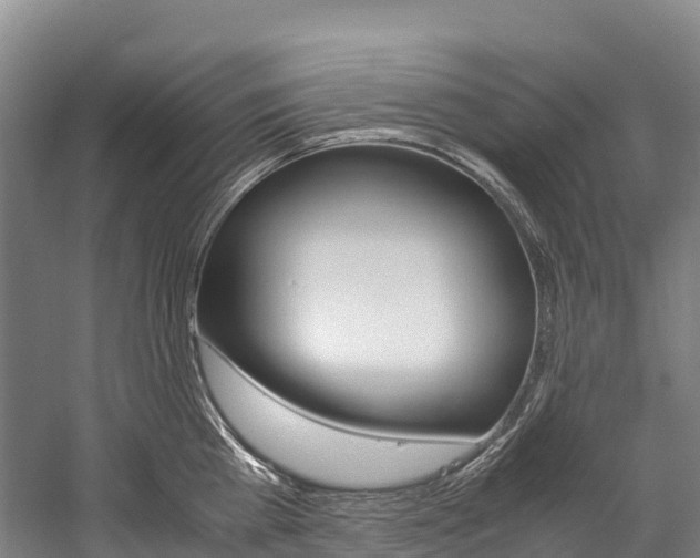 X0000060230809200510280936