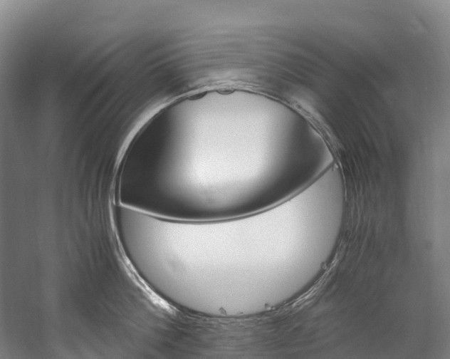 X0000060230812200510280936