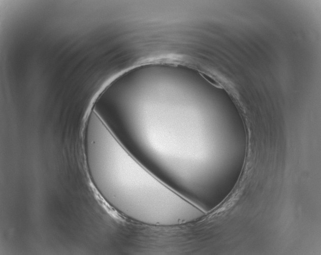 X0000060230816200510280936
