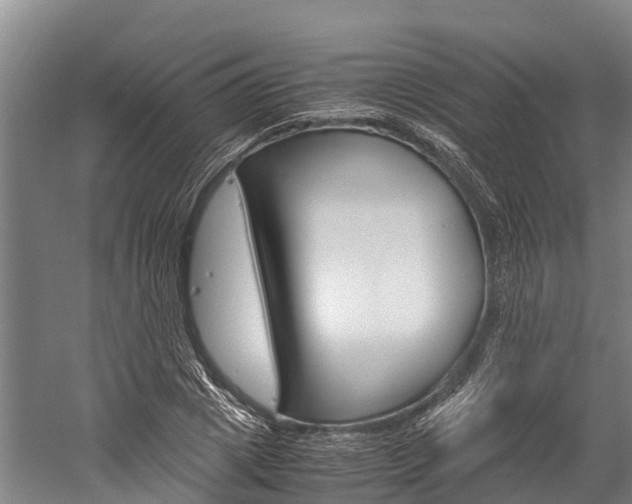X0000060230833200510280935