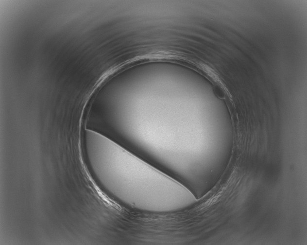 X0000060230845200510280936