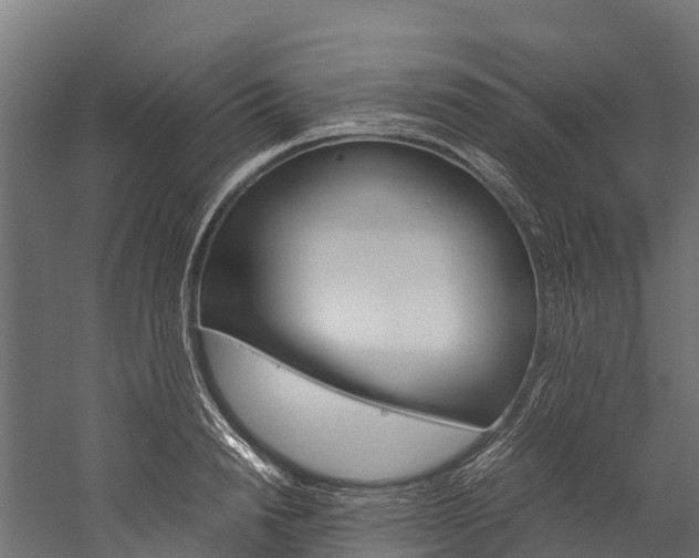 X0000060230846200510280936