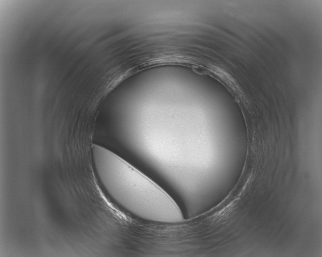 X0000060230849200510280936