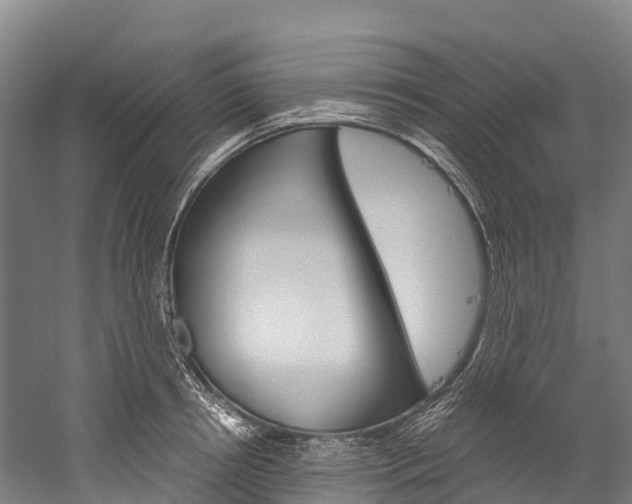 X0000060230850200510280936